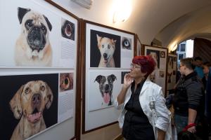 otvoritev razstave 'Poglej me v oči', Foto atelje Postojna009